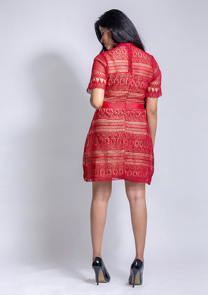 Raina lace dress - Color Theory